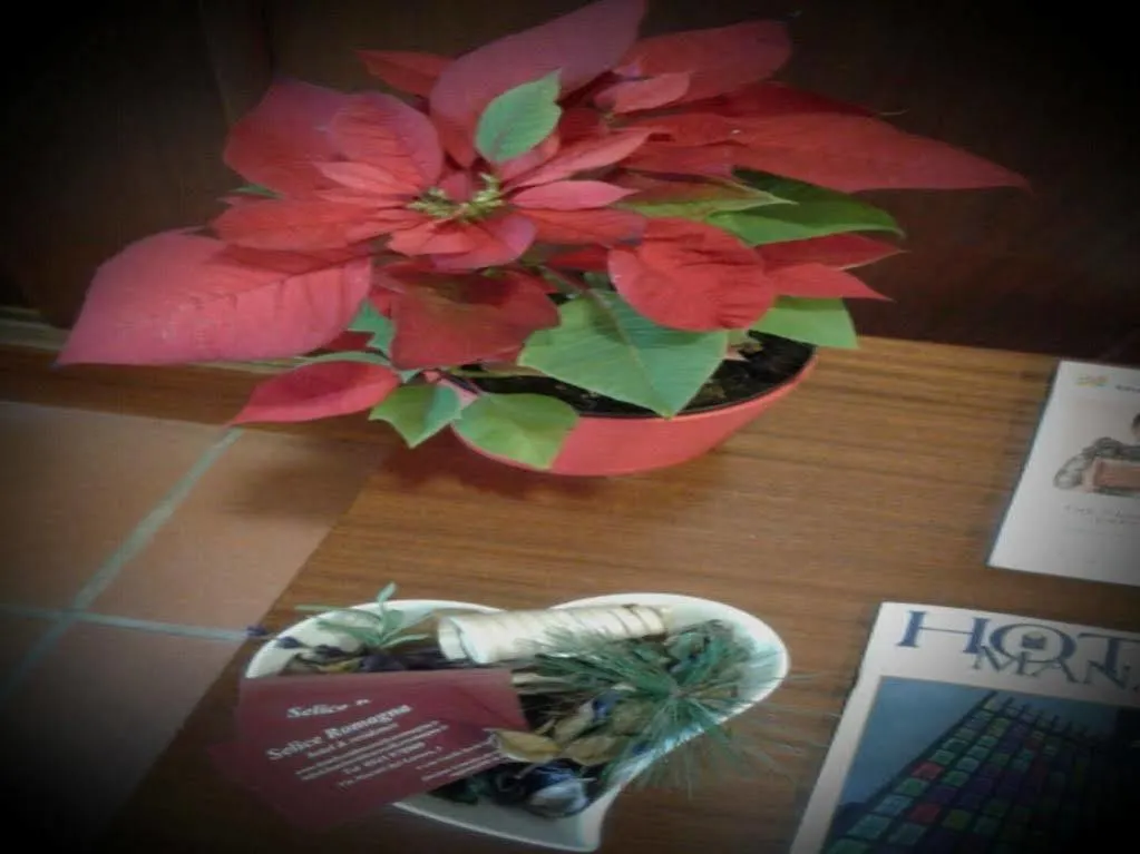 Hotel Residence Selice Romagna Massa Lombarda